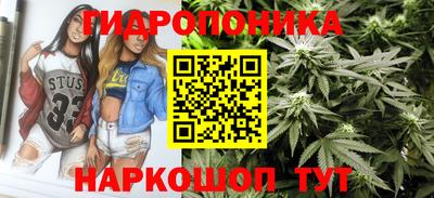 дживик Берёзовский