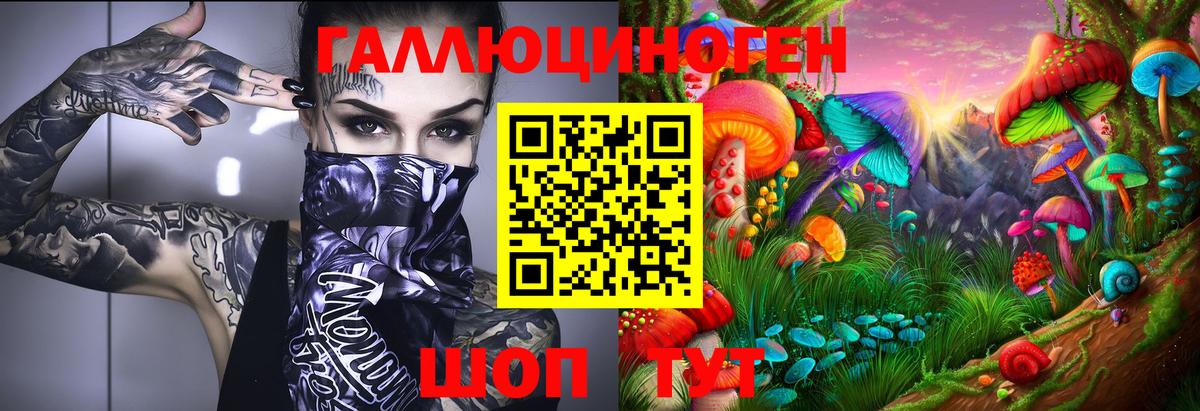 Галлюциногенные грибы Psilocybe Пермь