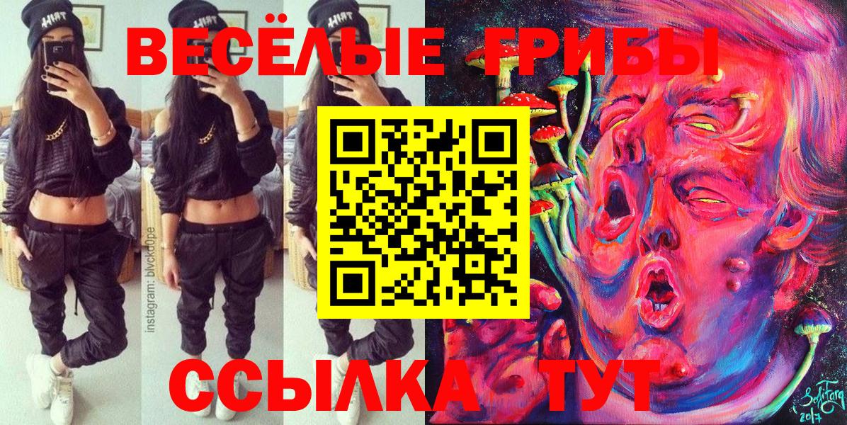 где продают наркотики  Вход с VPN  Пермь  Псилоцибиновые грибы Psilocybine cubensis  Псилоцибиновые грибы мицелий 