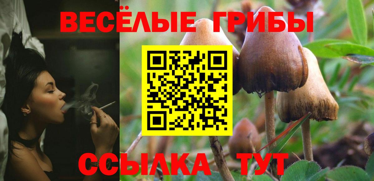 Галлюциногенные грибы GOLDEN TEACHER  хочу   Пермь 